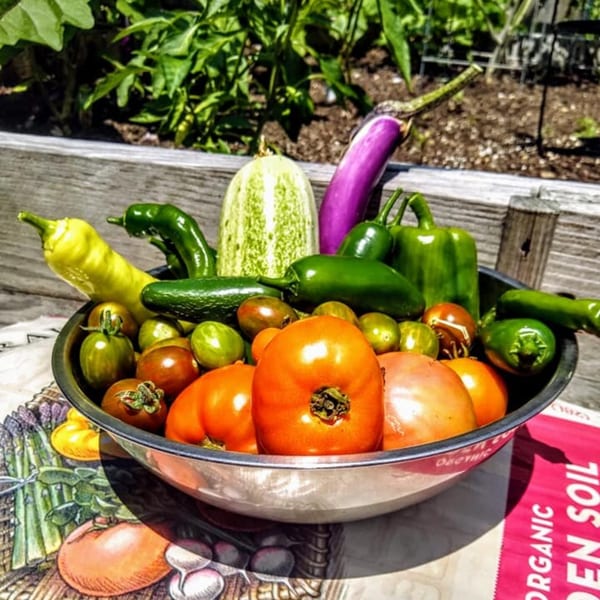 A large bowl filled with fresh garden vegetables, including tomatoes, peppers, cucumbers, and eggplant.